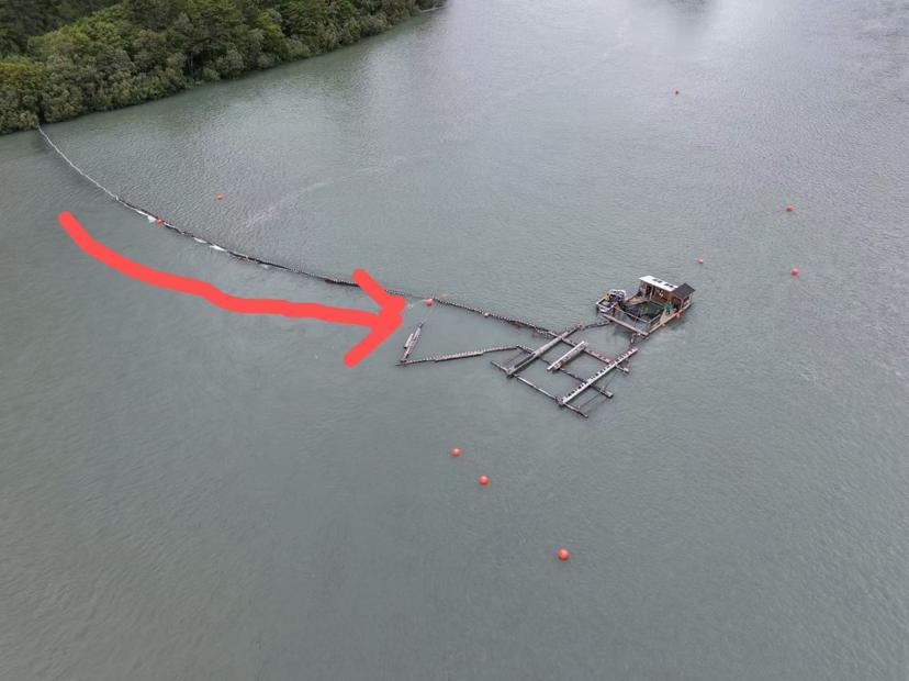 导鱼网将洄游鱼类引向监测平台
