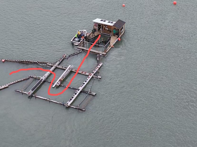 layout:row 鱼类通过四室迷宫和鱼类通道的路线